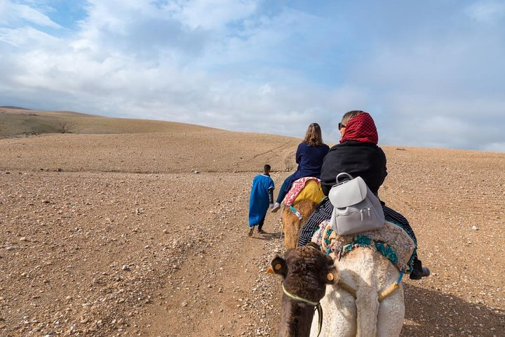 Camel ride in agafay