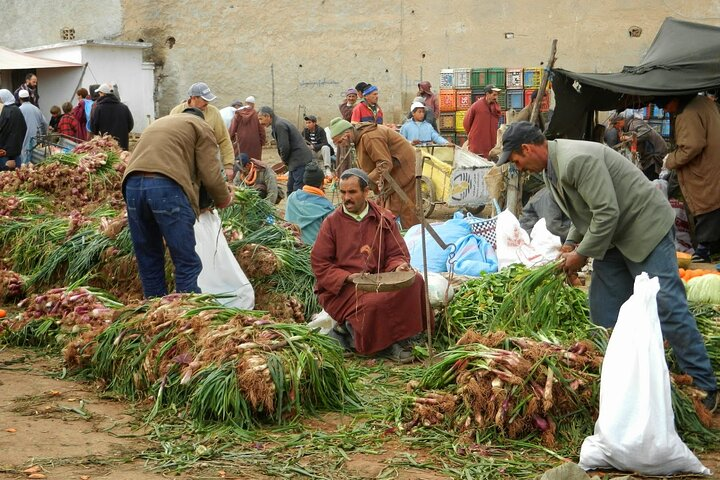 Agafay Desert, Atlas Mountains and Camel ride Day Trip from Marrakech - Photo 1 of 11