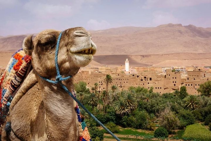 Ait ben haddou and Ouarzazate day trip from Marrakech - Photo 1 of 6