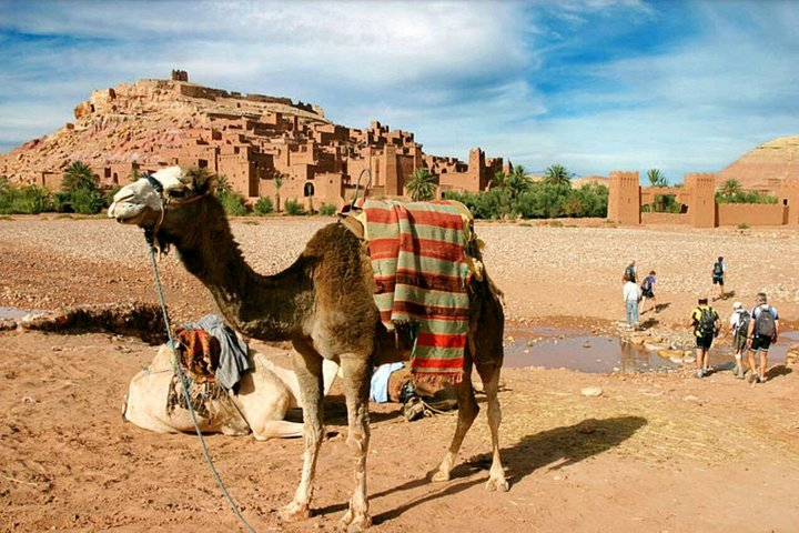 Ait Benhaddou day trip - Photo 1 of 9