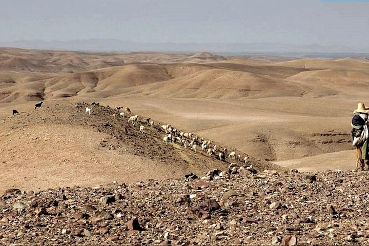4 Valleys & Agafay Day Trip from Marrakesh - Photo 1 of 25