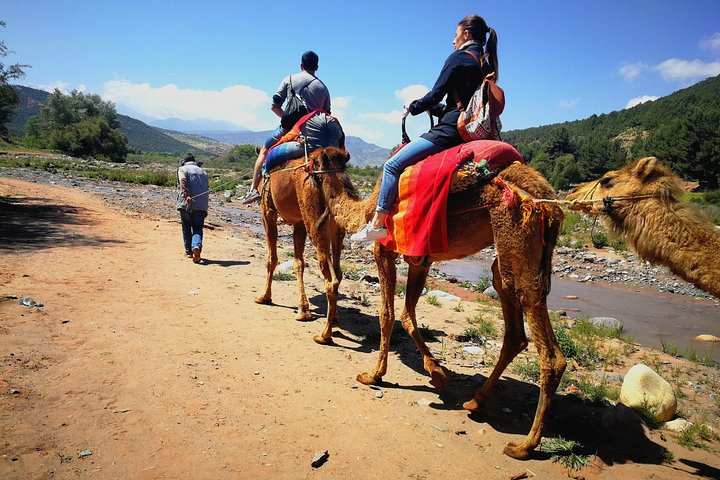 Atlas Mountains and Three Valleys & Waterfalls - Camel ride Day Trip Marrakech - Photo 1 of 9
