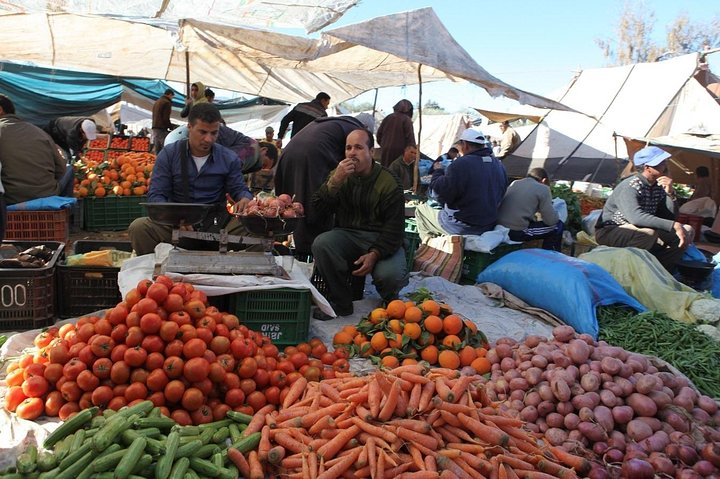 Atlas mountains, Berber villages, live like a local: Private Tour from Marrakech - Photo 1 of 16