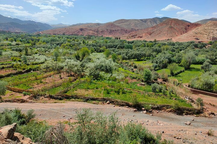 Atlas Mountains Journey, Camel Ride, Berber Villages & Waterfalls - Photo 1 of 6