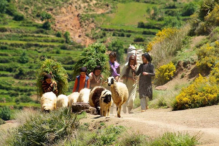 Atlas Mountains with Horse Riding and discover the berber Villages and culture - Photo 1 of 9