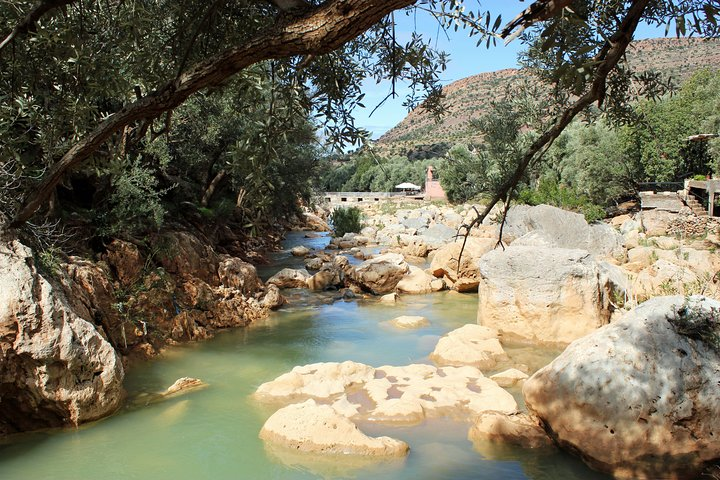 Beekeeping and Mountain Tour in Imouzzer - Photo 1 of 25