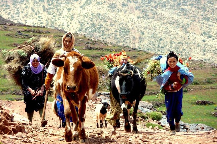 Berber Life Experience In the Atlas Mountains from Marrakech - Photo 1 of 9