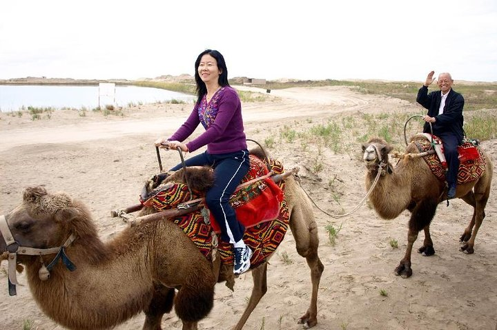 Best Fun and Cheap 2 Hours Camel Ex