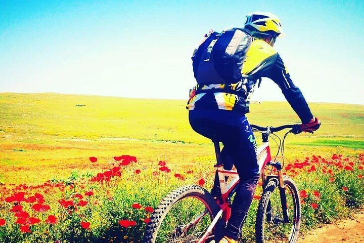  From Marrakech: Essaouira Full-Day Trip - Photo 1 of 7