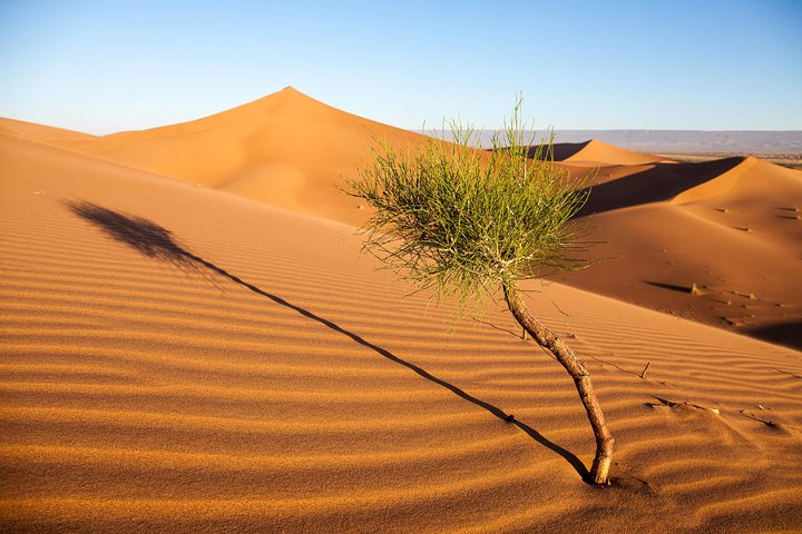 Budget Erg Chigaga Safari One Night. - Photo 1 of 22