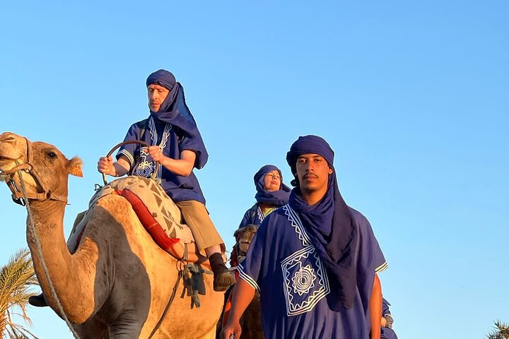Camel in Marrakech at sunset - Photo 1 of 8
