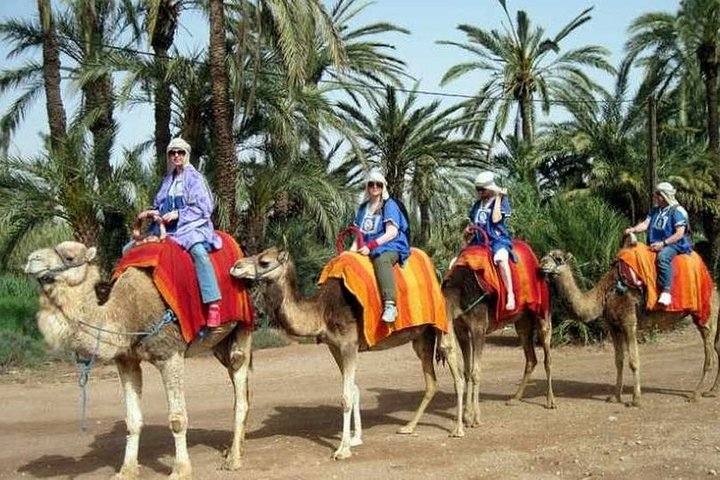 Agafay Desert Adventure, Culture, and Relaxation, From Marrakech - Photo 1 of 2