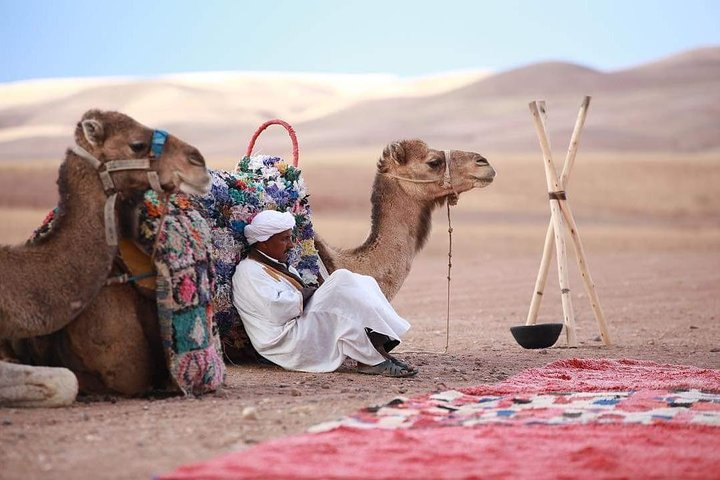 Camel ride in Agafay desert - Photo 1 of 9