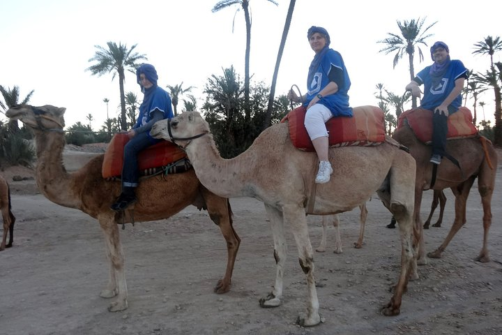 Camel ride in Marrakech 2 hours - Photo 1 of 6