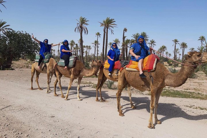 Camel Ride in Marrakech desert palmgrove - Photo 1 of 6
