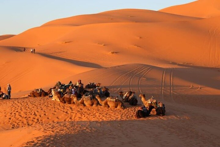 Explore Tangier: Cape Espartel, caves and camel ride. - Photo 1 of 25