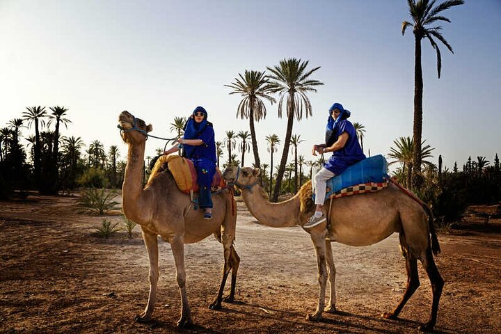 Camel Ride in the Palm Grove of Marrakech - Photo 1 of 6