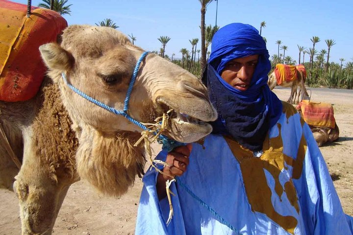 Camel man with his sweet camel