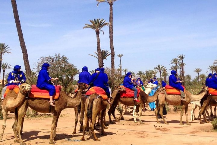 Camel Ride in the Palmeraie of Marrakech - Photo 1 of 8