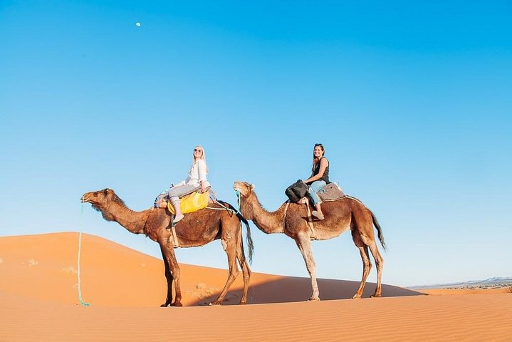 Camel Ride & overnight stay in Desert Camp Merzouga - Photo 1 of 10