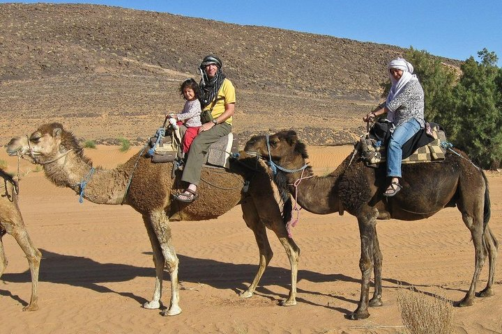 Camel ride - Photo 1 of 6