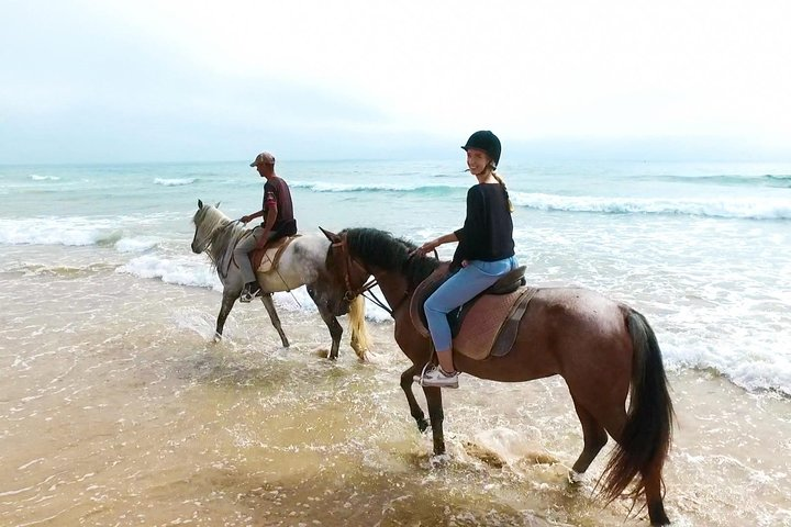 Camel riding and sunset - Photo 1 of 3