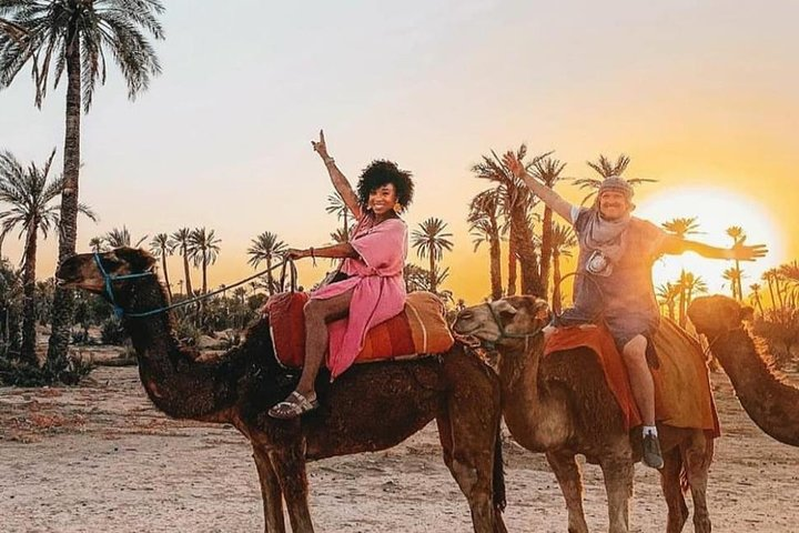 Camel Ride Plameraie - Photo 1 of 6