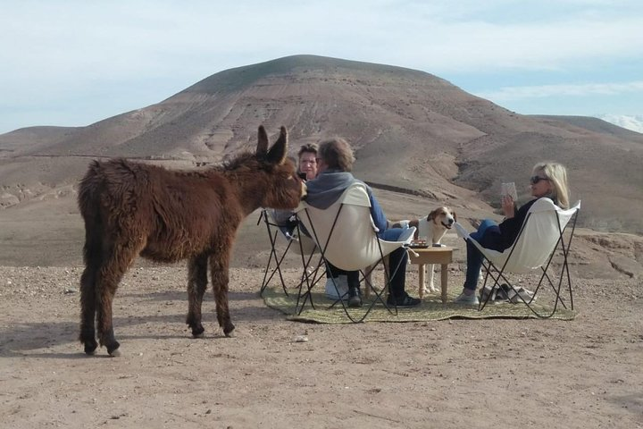 Agafay Desert: Your Exclusive Luxury Retreat Under the Stars - Photo 1 of 8