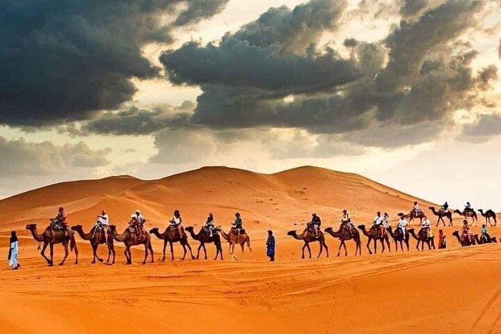 Camel ride in erg chegaga