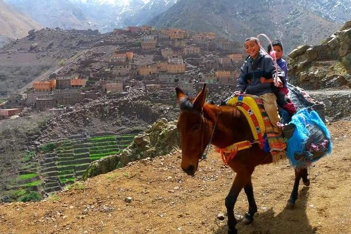 Cooking class with Berbers in atlas mountain day trip from marrakech to imlil - Photo 1 of 12
