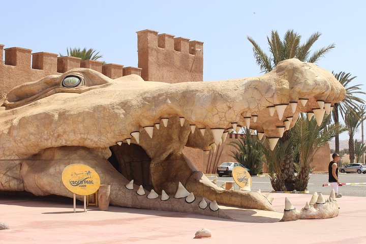 Croco Tour: Transfer to crocoparc Agadir (tickets included) - Photo 1 of 25