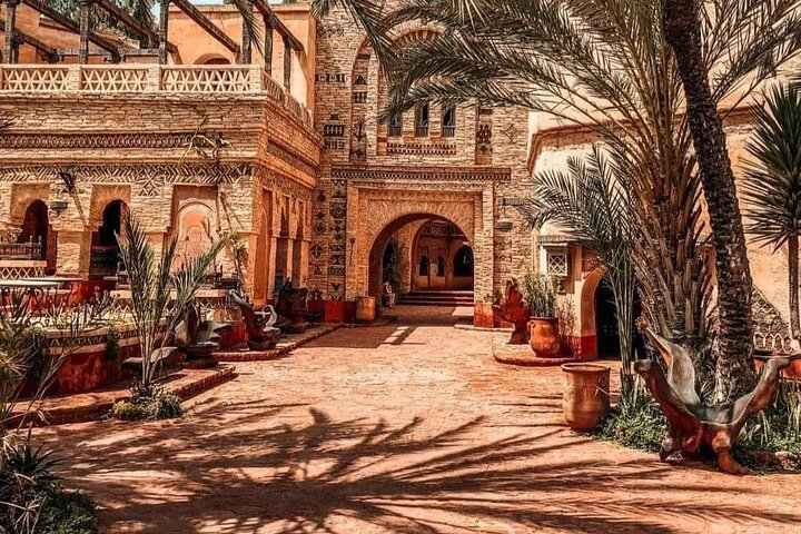 Crocodile Park including Transportation and entrance - Photo 1 of 20