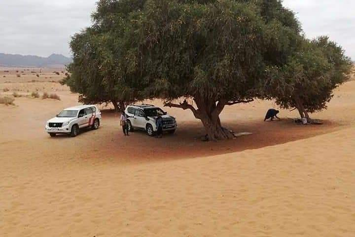  Day tours to Mini Sahara Desert + Massa Tiznit - Photo 1 of 13