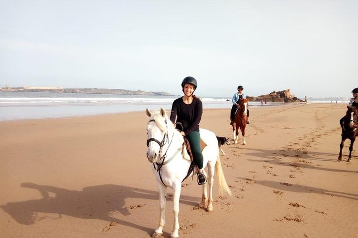 Day Trip From Marrakech to Essaouirra - Photo 1 of 6