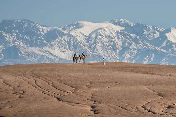 Marrakech: Agafay Desert Dinner Show and Sunset Camel Ride - Photo 1 of 15