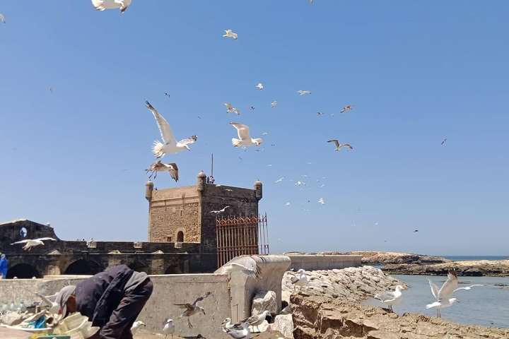 Day trip to Essaouira from Marrakech - Photo 1 of 3