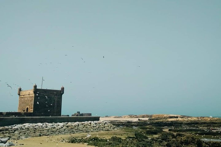 Day trip to Essaouira from Marrakech  - Photo 1 of 10