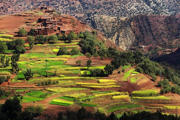 Atlas Mountains 