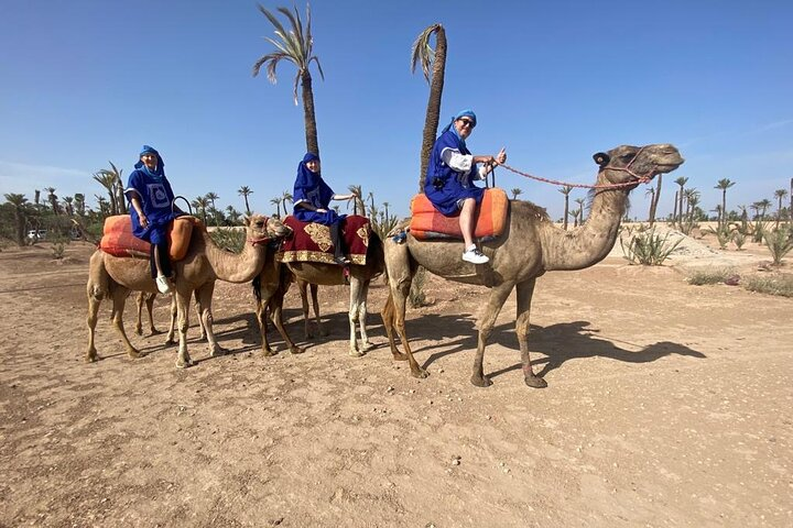 Day trip to Marrakech city from Casablanca - Photo 1 of 19