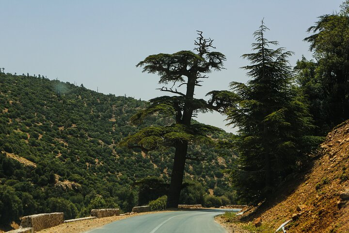 Middle Atlas Mountains 