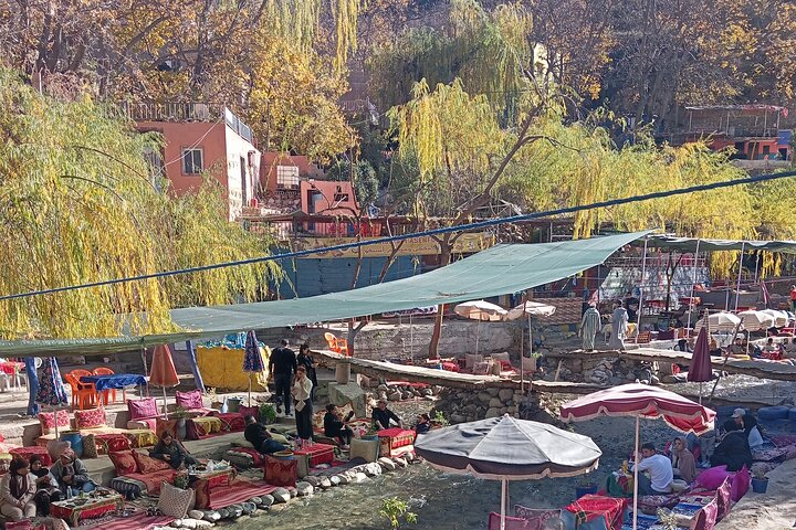 Day Trip to Ourika Valley from Marrakech - Photo 1 of 10