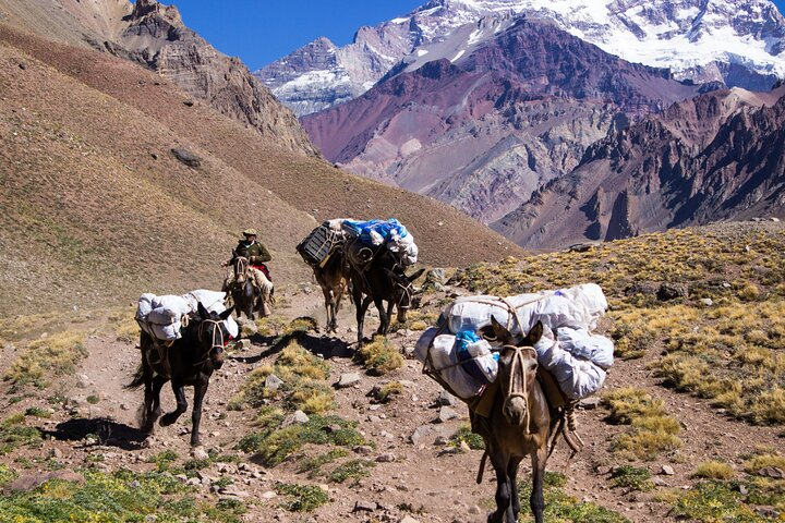 Majorelle Garden, YSL Museum and Berber Museum,Inc transportation - Photo 1 of 7