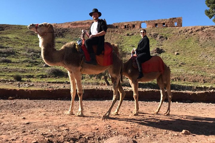 Day Trip to the High Atlas & camel ride - Photo 1 of 18