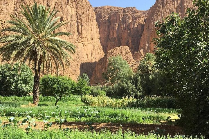 Day trip to the three valleys from Marrakech - Photo 1 of 8