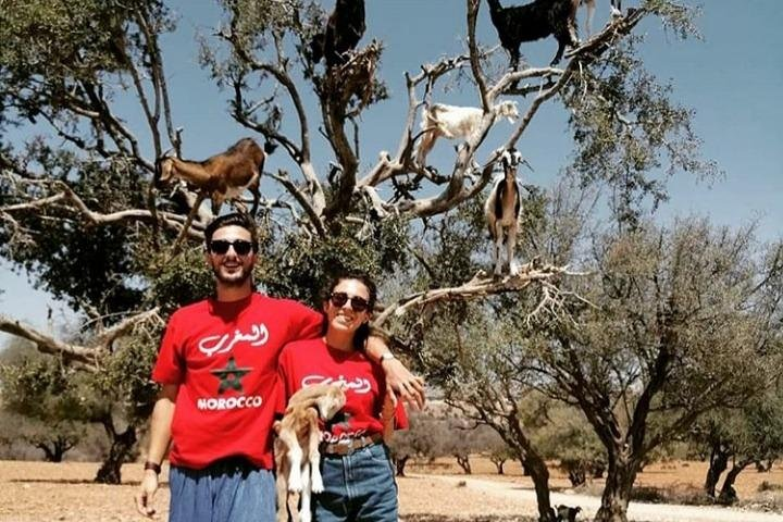 Day Trip with a Group to Essaouira Day from Marrakech - Photo 1 of 2