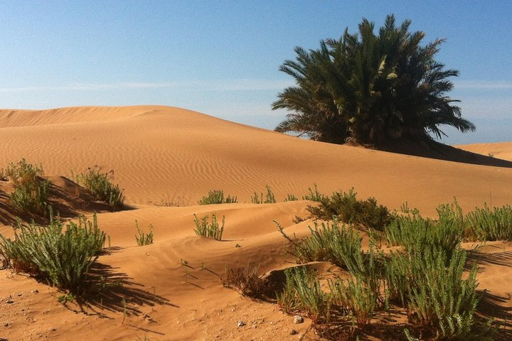 Desert Experience: 6-day jeep tour Southern Morocco - Photo 1 of 8