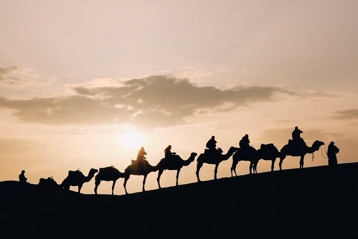 Desert Camel ride at sunset 
