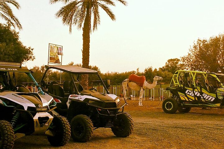  Desert Thrills: Quad Biking Adventures in Palmeraie Marrakech - Photo 1 of 11