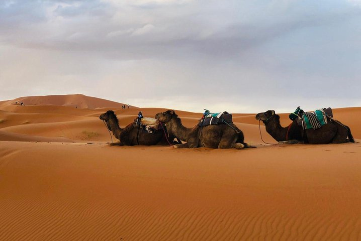 Fes to Merzouga Desert Trip – 2 Days, Camel Ride & Camp - Photo 1 of 25