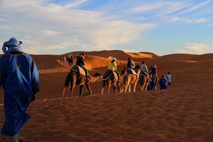 Evening camel rides